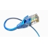 Te Maarama RJ45 me 8P8C Conestors